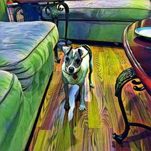 Meet your Posher, Mary ellen